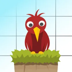 XWorld | Toon Blocks: Build Anything