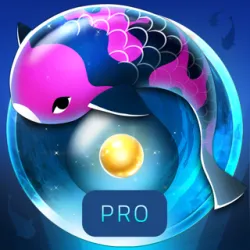 XWorld | Zen Koi Pro