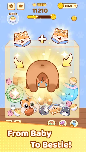 Pet KBoom - Drop And Merge | Games | XWorld