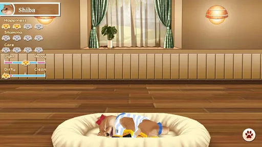 My Dog My Style | Jogos | XWorld