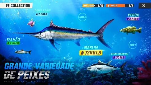 Fishing Master | Jogos | XWorld