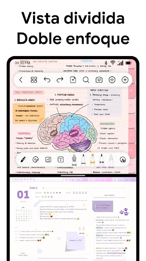 Freenotes: Bloc de notas, PDF | juego | XWorld Freenotes: Bloc de notas, PDF | juego | XWorld
