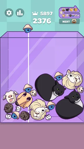 Meme Merge: Drop Puzzle | 游戏 | XWorld