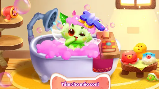 Trò Chơi Mèo Của Gấu Trúc Nhỏ | Games | XWorld