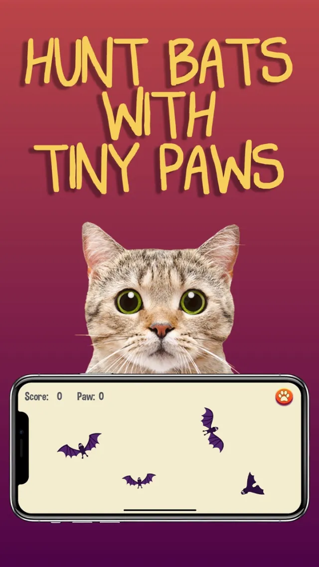 Permainan untuk kucing | Permainan | XWorld