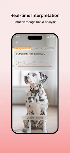 Traini-Dog Translator&Training | 游戏 | XWorld Traini-Dog Translator&Training | 游戏 | XWorld