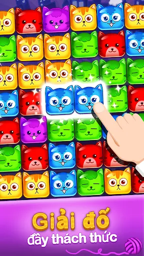 Pop Cat - con mèo trò chơi | Games | XWorld