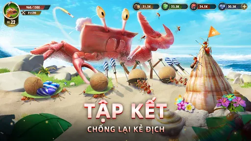 Vương Quốc Kiến - Gamota | Games | XWorld