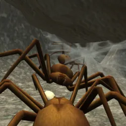 XWorld | Spider Colony Simulator