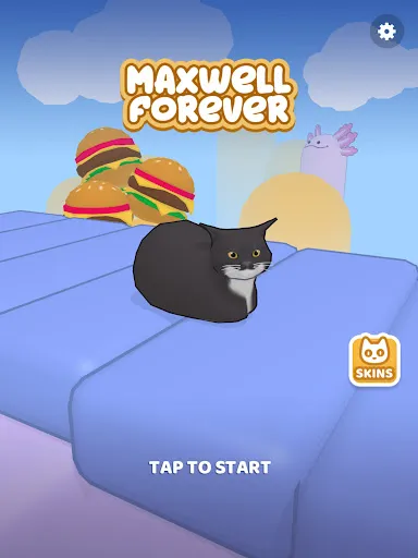 Maxwell Forever - Cat Game | Игры | XWorld