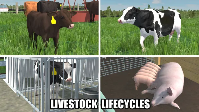 American Farming | Игры | XWorld