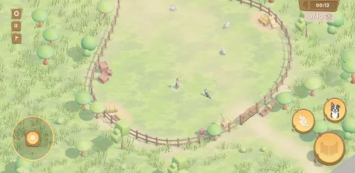 Bark and Park | Jogos | XWorld