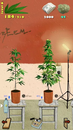 Weed Firm: RePlanted | Games | XWorld