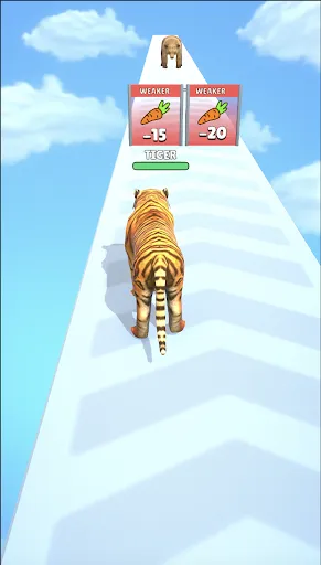 Cat Evolution | Games | XWorld