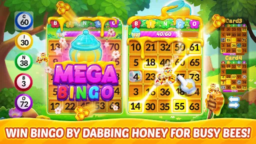 Bingo Aloha-Bingo tour at home | Games | XWorld