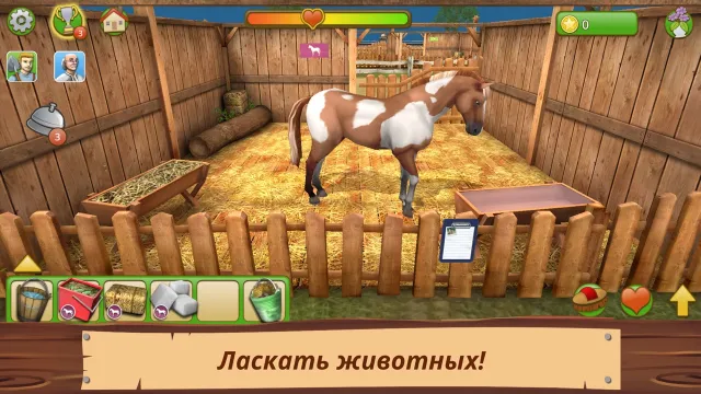 Pet World Премиум | Игры | XWorld