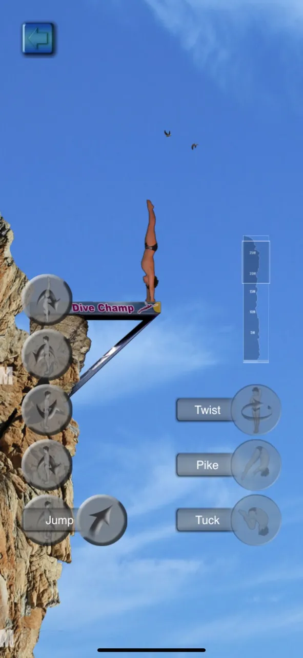 Cliff Diving Champ | Games | XWorld