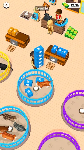 My Cat Cafe! | Games | XWorld