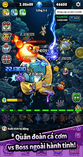 Biệt đội cá cơm | Games | XWorld