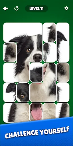 Solitaire Puzzle: Jigsaw Card | Игры | XWorld Solitaire Puzzle: Jigsaw Card | Игры | XWorld
