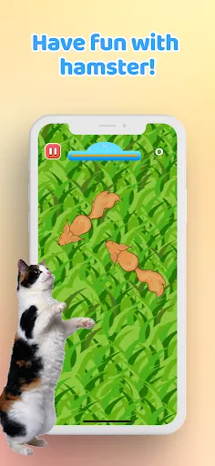 Games for Cat－Toy Mouse & Fish | Permainan | XWorld