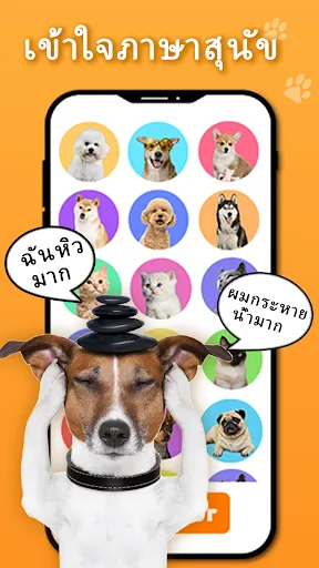 Dog Translator: Trainer | เกม | XWorld