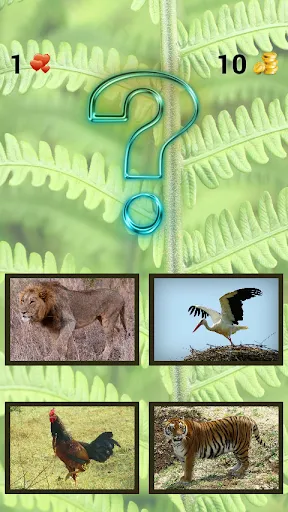 ZOO sounds quiz | juego | XWorld