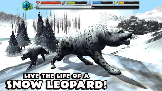 Snow Leopard Simulator | Jogos | XWorld