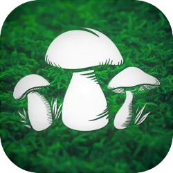 XWorld | Реальный Грибник - Тихая охота