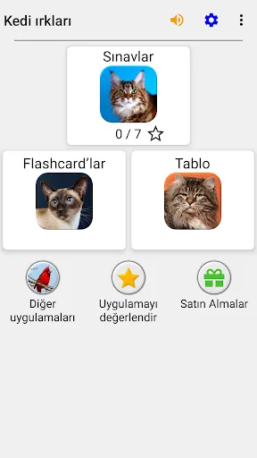 Кошки - Тест о породах кошек | Permainan | XWorld Кошки - Тест о породах кошек | Permainan | XWorld