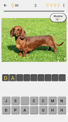 Perros: Foto-quiz sobre razas | juego | XWorld