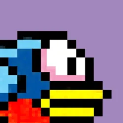 XWorld | Bird Watch Game Free