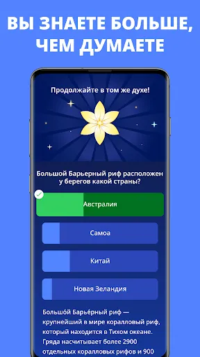 Антистресс викторина: Zen Quiz | Игры | XWorld