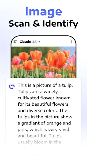 Deep Think - AI Seek Chatbot | 游戏 | XWorld