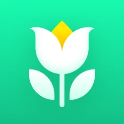 XWorld | Plant Parent-Guia de Cuidados