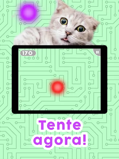 Jogos para gatos! | Jogos | XWorld Jogos para gatos! | Jogos | XWorld