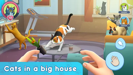 Cat Simulator: My Pets | Games | XWorld