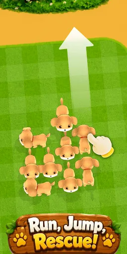 Lucky Dog Arrow Out | Permainan | XWorld Lucky Dog Arrow Out | Permainan | XWorld
