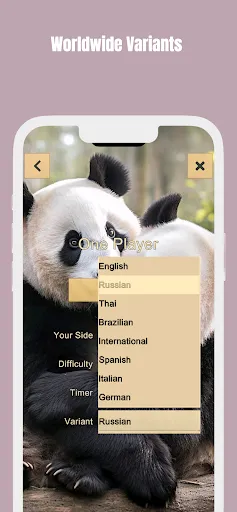 Checkers | Games | XWorld Checkers | Games | XWorld