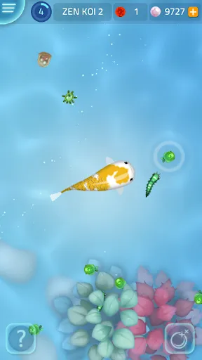 Zen Koi 2 | เกม | XWorld
