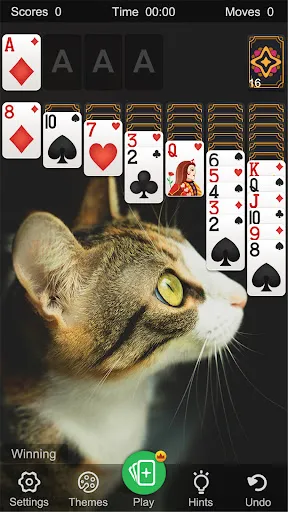 Solitaire Klasik Klondike | Permainan | XWorld