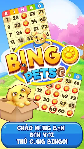 Bingo: Free the Pets | Games | XWorld