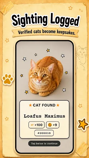 CatchCat | Permainan | XWorld CatchCat | Permainan | XWorld