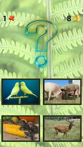 ZOO sounds quiz | juego | XWorld