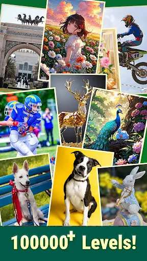 Jigmerge Puzzles | 游戏 | XWorld