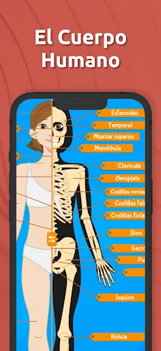 Atlas Anatomía: Cuerpo Humano | juego | XWorld