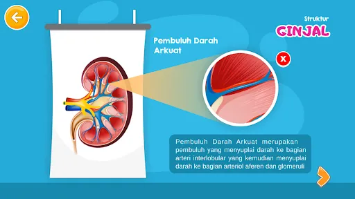 Virtual Lab Sistem Ekskresi | เกม | XWorld