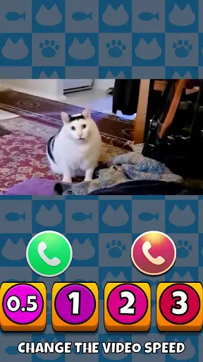 Meme cats: Tamagochi | Игры | XWorld