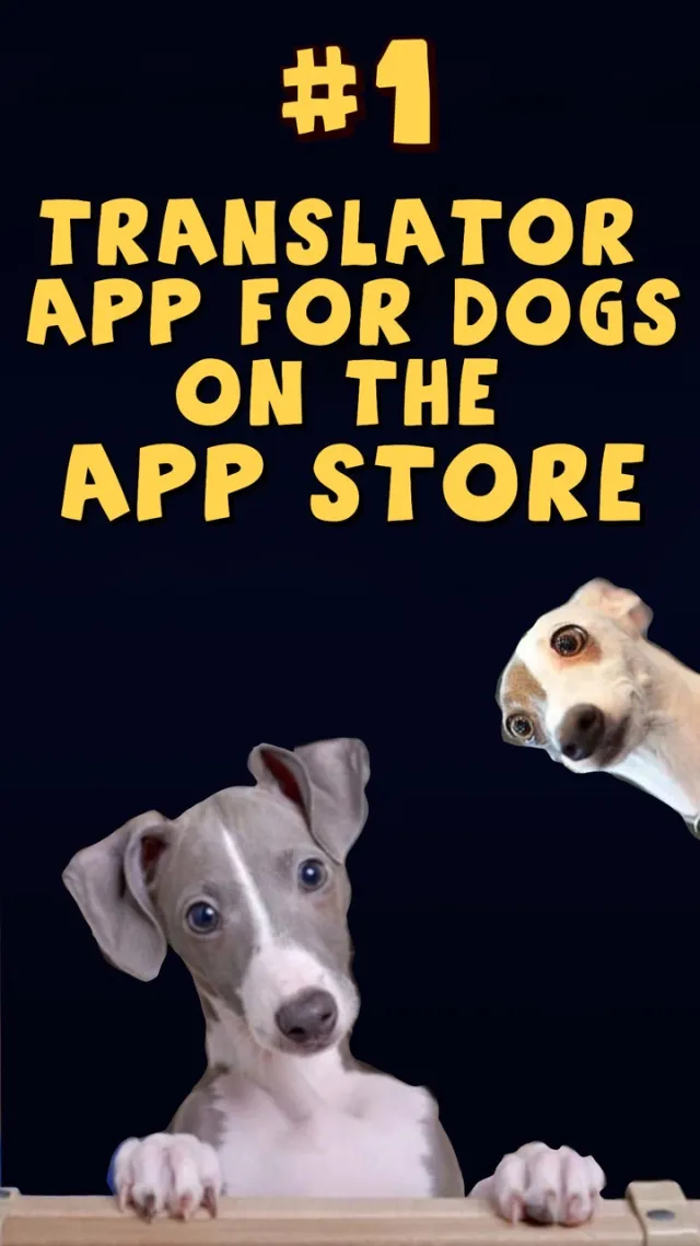 Dog Translator: Game For Dogs | Games | XWorld