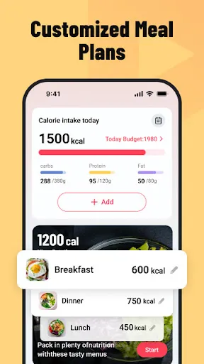 Follow Me - Workout, plan | Permainan | XWorld